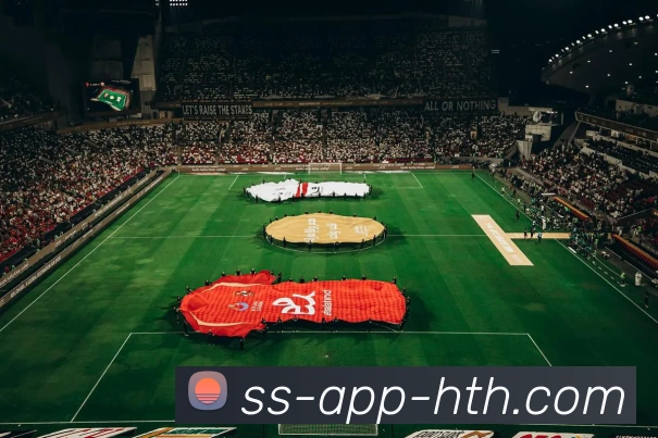 App Interface Preview
